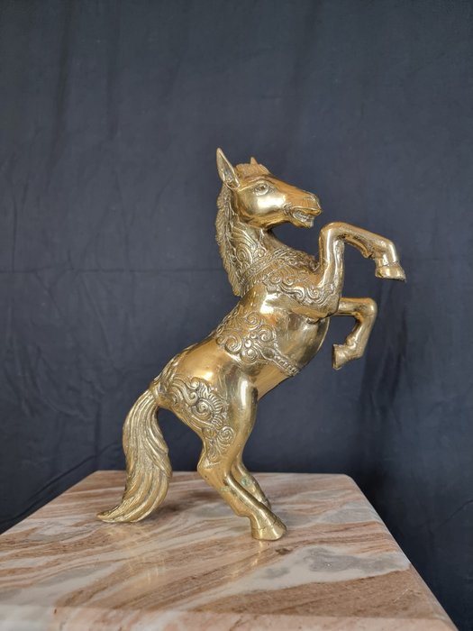 Beeld, Stunning Gold Polished Horse Handmade - 27.5 19 - Brons