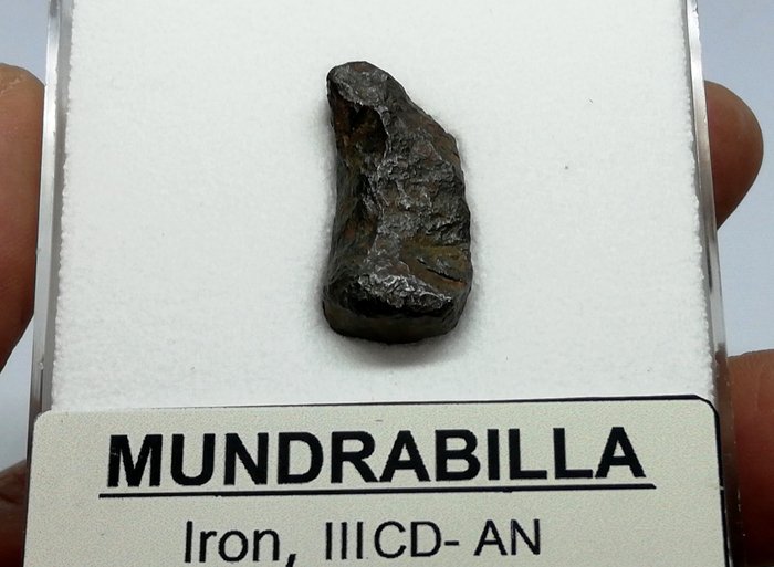 Mundrabilla dans une boîte de collection (SANS PRIX DE RESERVE) Météorite de fer - 9.63 g