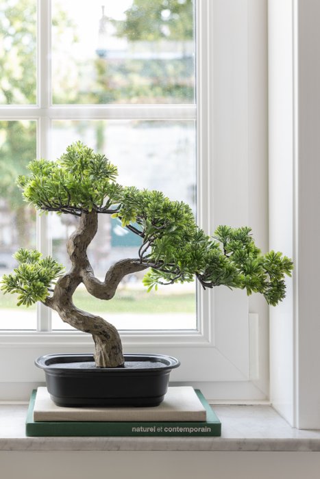 Zierornament - Podocarpus Bonsai Lifelike Fake - Asien