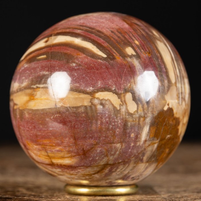 化石木球 - 化石木材 - Fossilized Wood - 92.5 mm - 92.5 mm