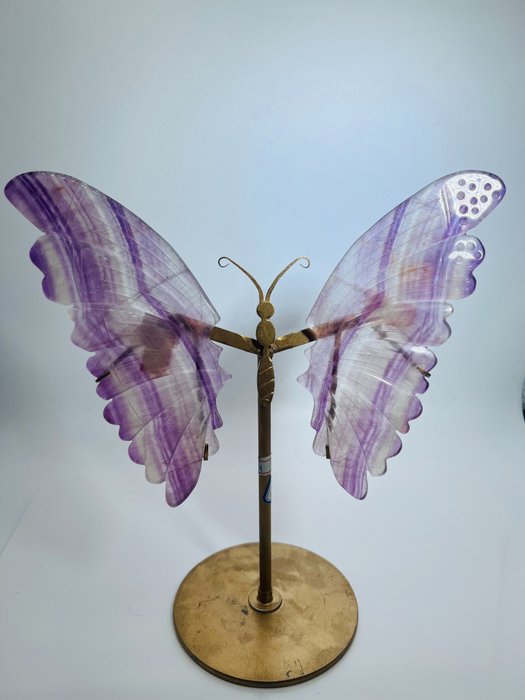 Fluorit Regenbogen - Butterfly Wings - Interior Design Heilstein - Unikat - Handarbeit - Qualität -Naturstein - Höhe: 270 mm - Breite: 260 mm- 1200 g - (1)