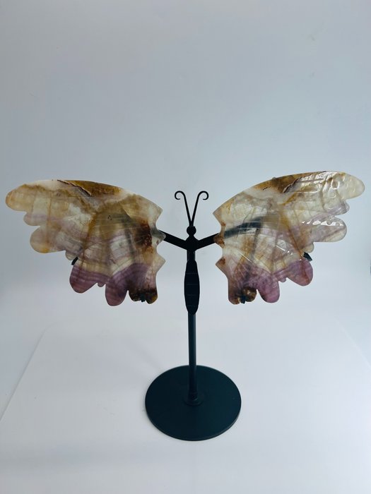 Rainbow Flourite - Skrzydła Motyla - Projektowanie Wnętrz Uzdrawiający Stome - Wyjątkowy - Ręcznie robiony - Jakość - Kamień naturalny - Wysokość: 240 mm - Szerokość: 290 mm- 1200 g - (1)