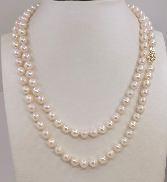 7x7.5mm Bright Akoya Pearls - Halskette - 14 kt Gelbgold 