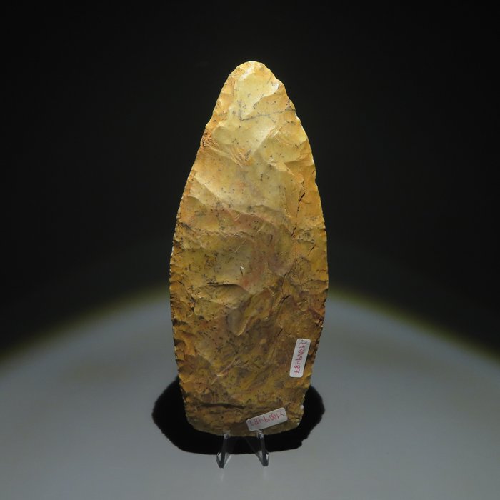 Neolithisch Steen Speerpunt. ca. 1000 voor Christus. 18,5 cm H.