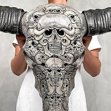 C-Extra Grote authentieke handgesneden grijze waterbuffelschedel – Macaber motief Gesneden schedel – Bubalus Bubalis – 73 cm – 78 cm – 17 cm- Geen-CITES-soort –  (1)
