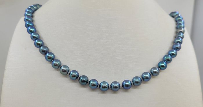 Ohne Mindestpreis - Halskette 6,5 x 7 mm kobaltblaue Akoya-Perlen