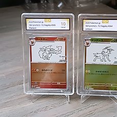 Pokémon – 2 Card – Flareon and Jolteon