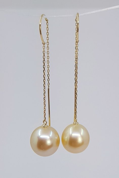 10x11mm Golden South Sea Pearls 耳环 - 黄金 