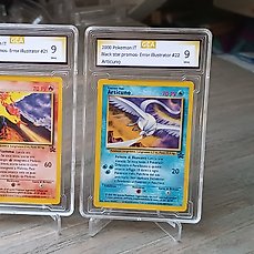Pokémon – 2 Card – Articuno & Moltres