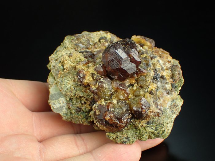 Großer grober Granat Kristalle auf Muttergestein - Höhe: 77 mm - Breite: 65 mm- 274 g