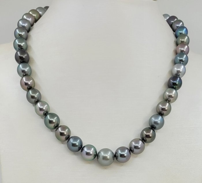 Ohne Mindestpreis - Halskette Zertifizierter Aurora-Pfau – 8,1 x 11,8 mm große Multi-Tahiti-Perlen 