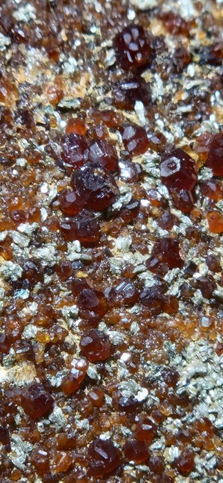 Granat Kristalle auf Muttergestein - Höhe: 11 cm - Breite: 7 cm- 362 g - (1)