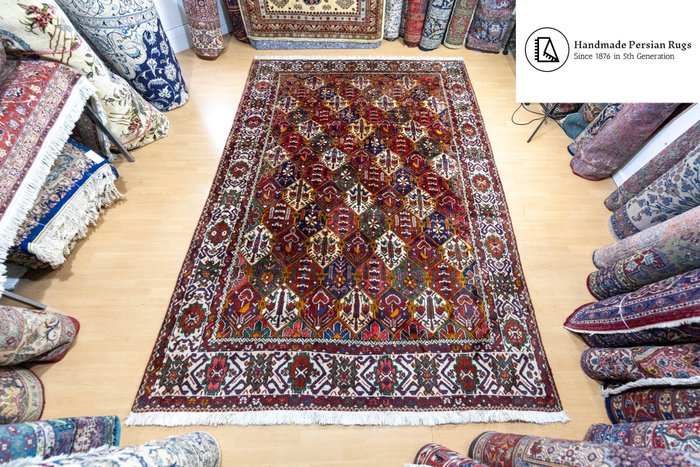 Bachtiar - Carpet - 313 cm - 215 cm