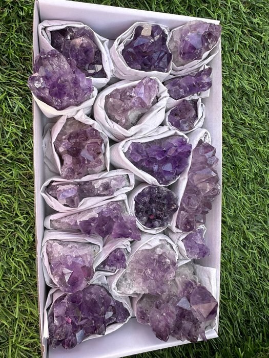 紫水晶 粗糙 - 宽度: 25 cm- 1683 g - (19)