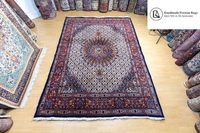 Moud - Carpet - 295 cm - 204 cm