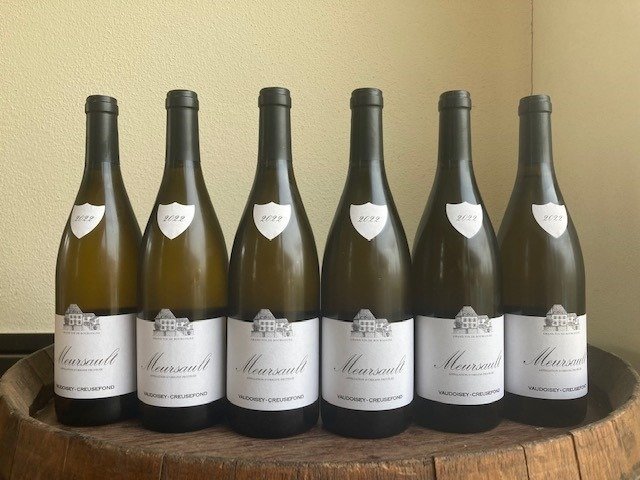 2022 Domaine Vaudoisey-Creusefond - 梅索酒村 - 6 瓶 (0.75L)
