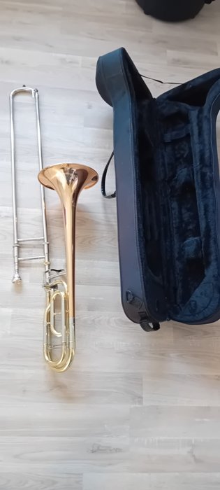 Stagg - Tenor trombone 77-TD-HG-GL -  - Posaune