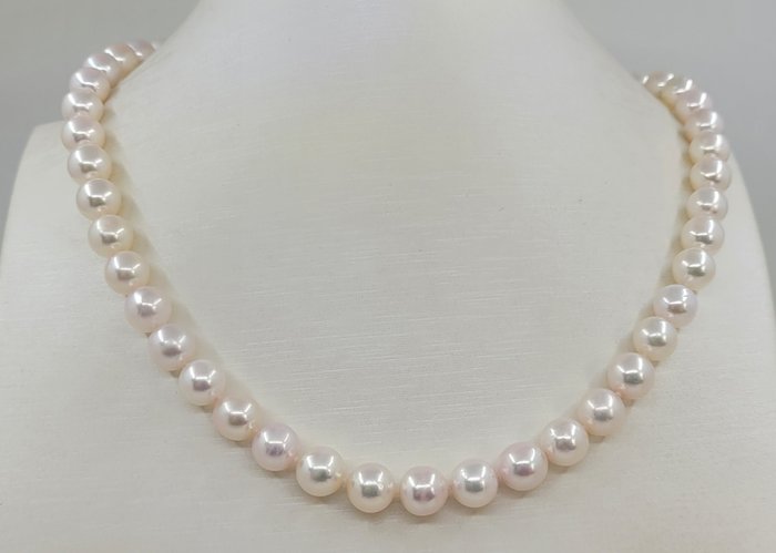 Halsband 8x8,5 mm Ljusa Akoya-pärlor 