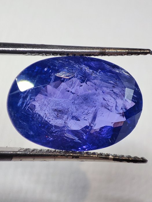 1 pcs Bleu, Violet Tanzanite - 10.48 ct