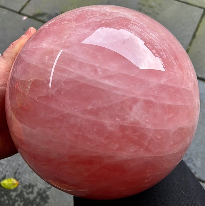 Rosé Quarz Fein polierte große AAA-Rosekwarts-Kugel - Höhe: 19.77 cm - Breite: 19.77 cm- 10620 g