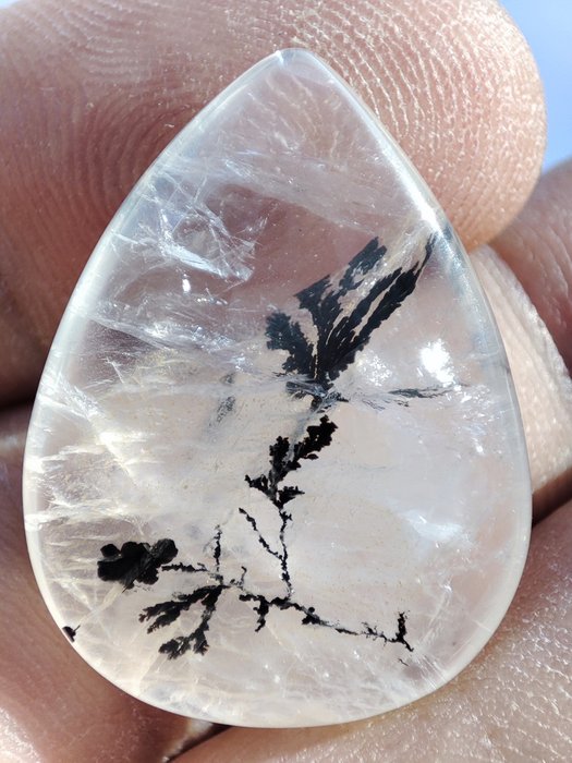 Gratis frakt Beautiful Very Rare Mica Tree Crystal Prøve - Høyde: 28 mm - Bredde: 21 mm- 5.91 g