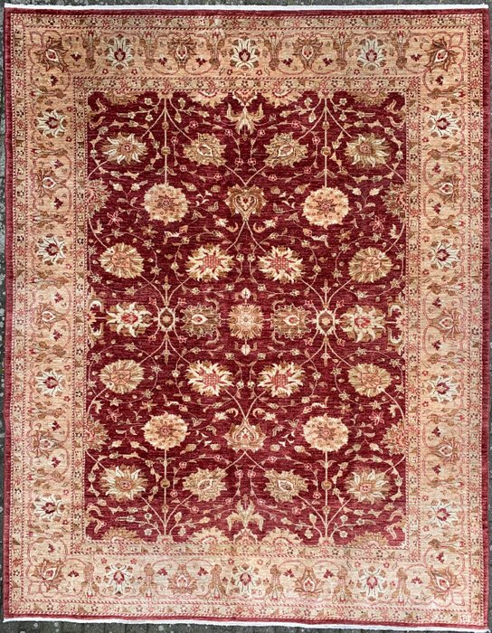 Ziegler - Carpet - 303 cm - 241 cm