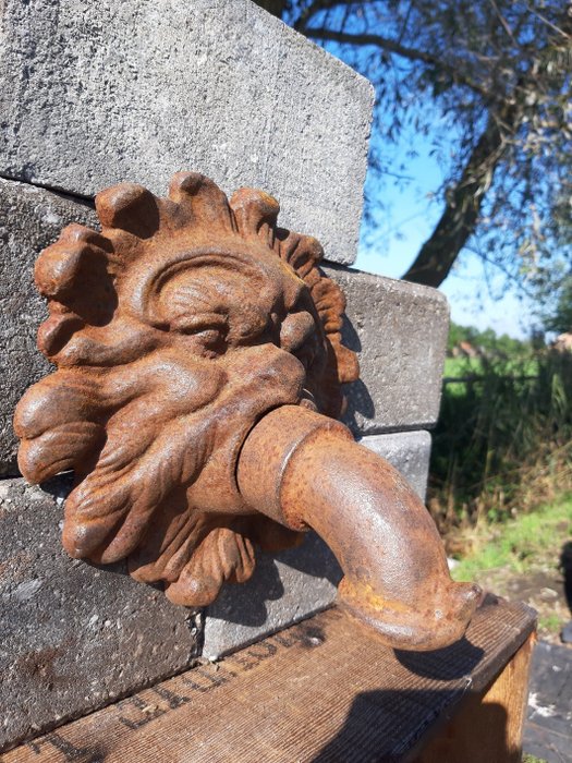 Dekorativt ornament - fountain lion head - Europa