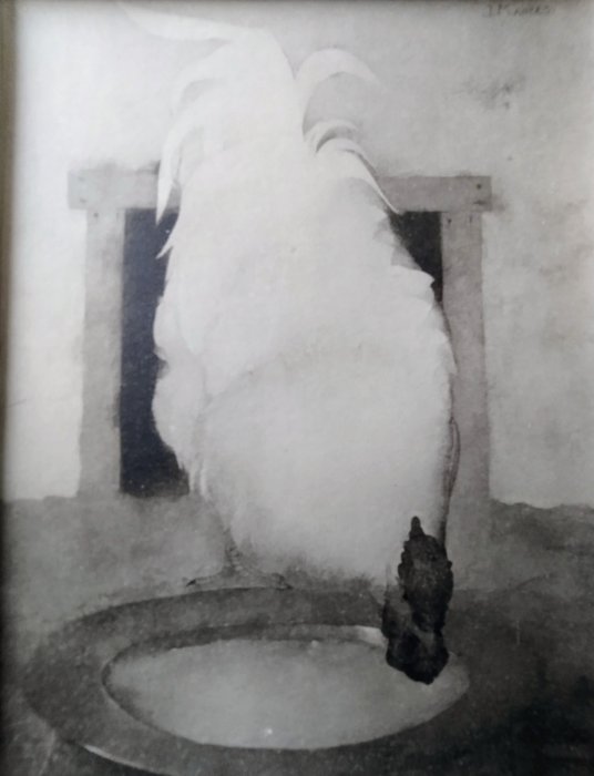 Jan Mankes (1889-1920), after - Haan (Wyandotte) met tinnen schotel