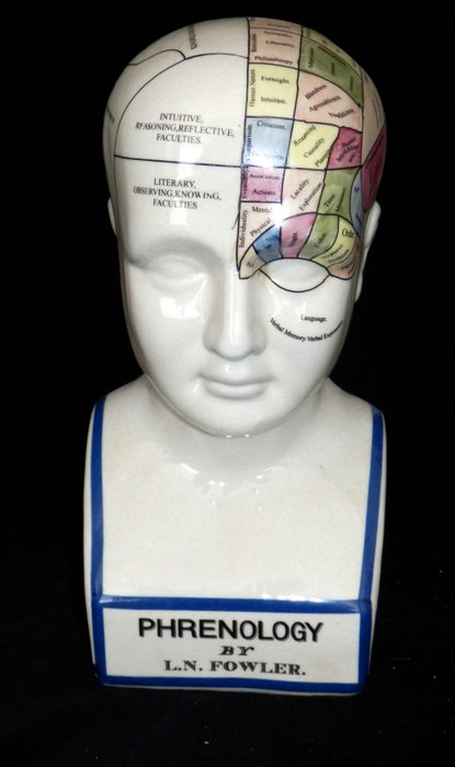 Head ornament - Groot model Phrenology Hoofd - Dr. L.N.Fowler in Kleur