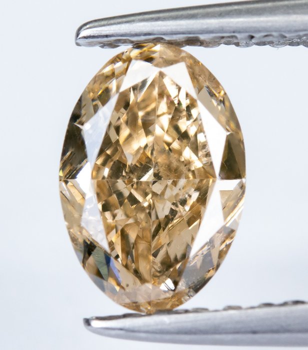 Diamant - 0.67 ct - Natürliches, helles Gelbbraun - I1 *NO RESERVE*