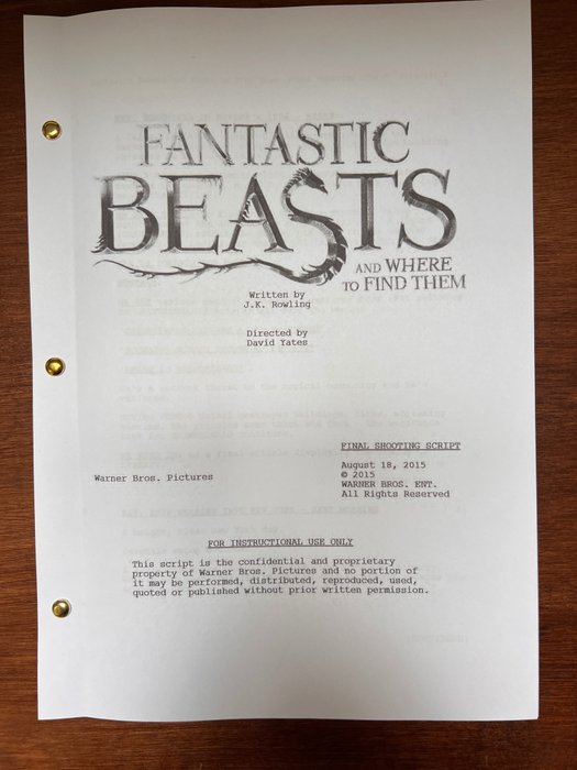 Fantasic Beasts, And Where To Find Them (2016) - Eddie Redmayne, Katherine Waterston, Dan Fogler, Ezra Miller, Alison Sudol - Warner Bros.