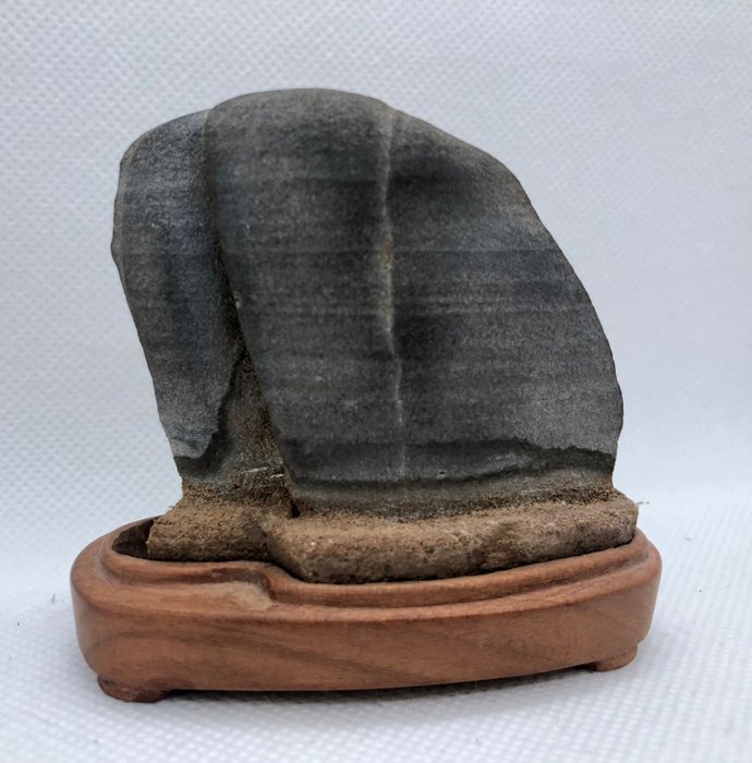 Stone - Suiseki, Bonseki, Viewing stone W9.5cm - Shōwa period (1926-1989)  (No Reserve Price)