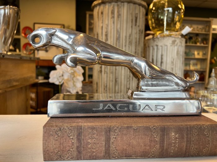 Jaguar, mascotte - Jaguar - 2019