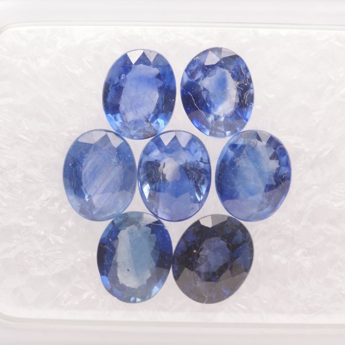 7 pcs （濃藍色至深藍色） 藍寶石 - 3.02 ct