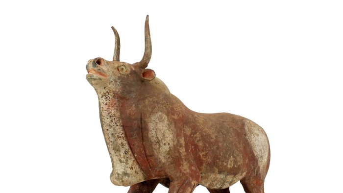Altchinesisch Terracotta Monumentales bemaltes Keramikmodell eines Ochsen, mit TL-Test, Nördliche Qi-Dynastie (550-577 n. - 41 cm
