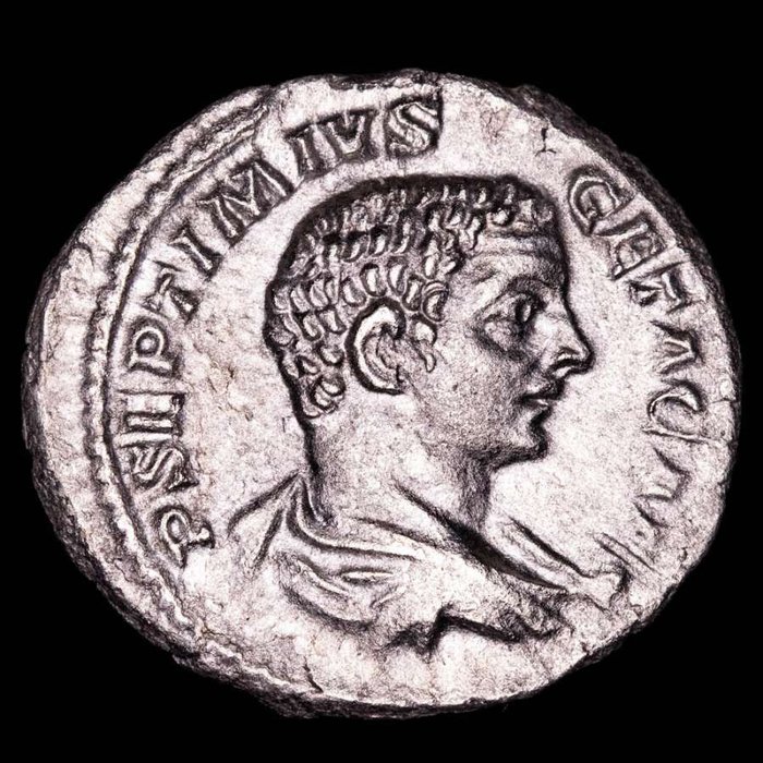 Rooman imperiumi. Geta (209-211). Denarius Rome Mint. PROVID DEORVM, Providentia standing left holding wand and scepter, globe at feet.
