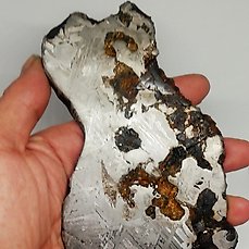 Seymchan XXL-meteoriet Steenijzer meteoriet – 442 g