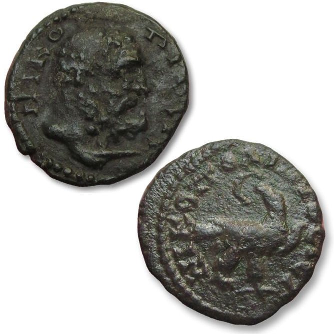 羅馬帝國 （省）. 塞提米烏斯·塞維魯斯 (AD 193-211). Assarion group of 2x AE assarion, Moesia Inferior, Nikopolis ad Istrum mint (Hercules & Eagle reverses)