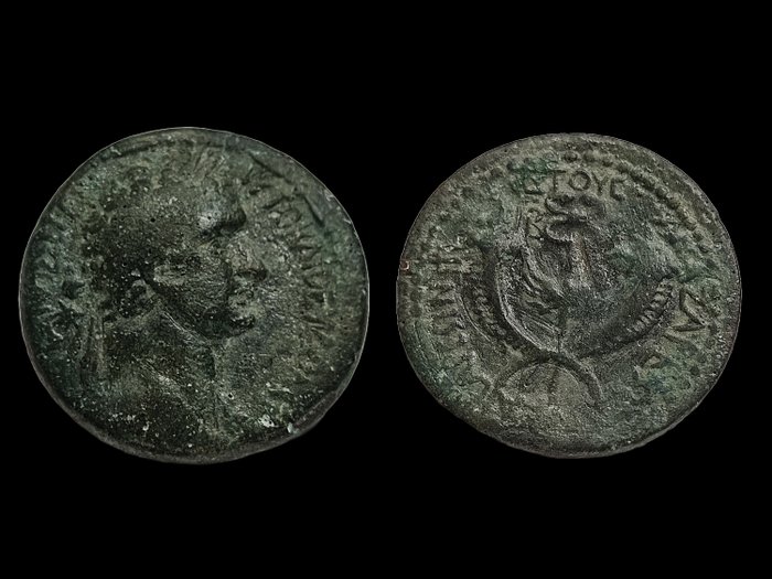 Kilikien, Anazarbus. Domitian (AD 81-96). Assarion Dated CY 112 (93/4) - Very rare