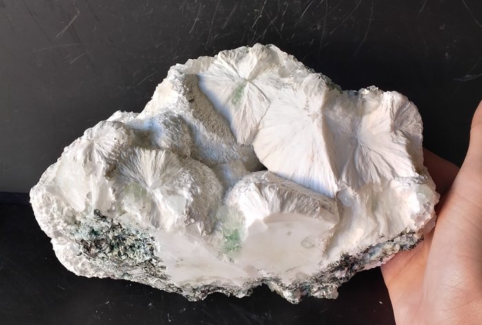 Atemberaubender modernitischer weißgrüner Apophyllit Kristall auf Muttergestein - Höhe: 13 cm - Breite: 19 cm- 1791 g - (1)