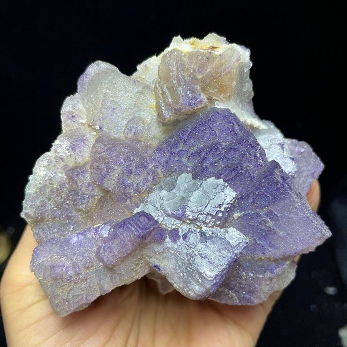 Cristales de fluorita violeta - Altura: 92 mm - Ancho: 91 mm- 426 g
