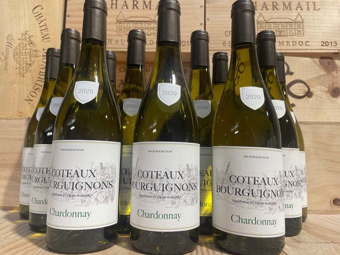2020 Bourgogne Chardonnay - Borgogna - 12 Bottiglie (0,75 L)