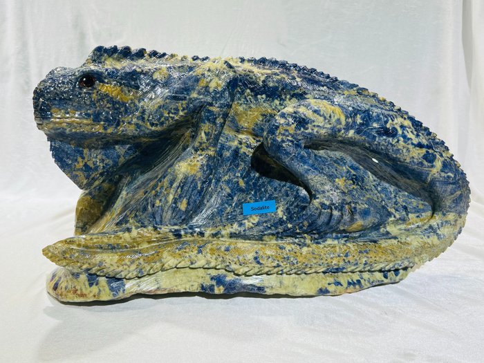 Sodalita Incrível Escultura XXL - Lagarto - único - belo objeto - pedra natural - item de colecionador - realista - Altura: 180 mm - Largura: 430 mm- 18 kg - (1)