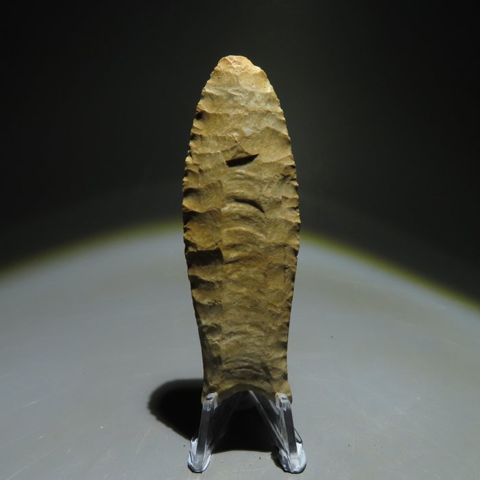 美國原住民 石 箭頭。西元前 13000-1000 年。 8.2 公分長。西班牙進口許可證。  (沒有保留價)