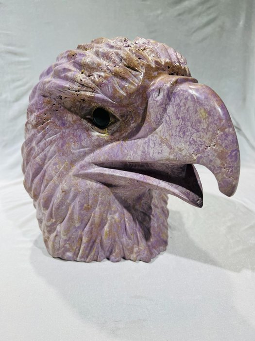 Phosphosiderit - very Rare - Carving -Head of an Eagle - Natural Stone  - Unique - Made in Chile - - Höhe: 260 mm - Breite: 240 mm- 18.3 kg - (1)