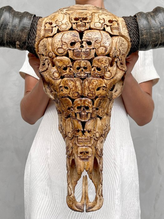 C - Authentique Grand crâne de buffle d'eau marron sculpté à la main - Motif crâne humain- Crâne sculpté - Bubalus Bubalis - 81 cm - 81 cm - 19 cm- Espèces non-CITES -  (1)