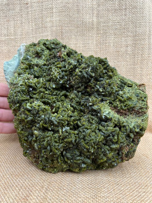 绿帘石 水晶矩晶体 - 高度: 12 cm - 宽度: 18 cm- 4.45 kg - (1)
