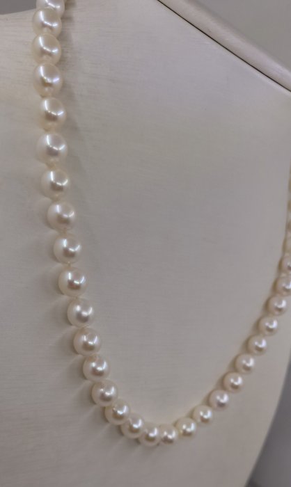 7.5x8mm Akoya Pearls - Halskette - 14 kt Gelbgold 