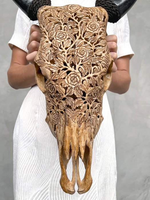 無底價 - 手工雕刻棕色牛頭骨 - 玫瑰圖案 - 雕刻頭骨 - Bos taurus - 59 cm - 38 cm - 14 cm- 非《瀕臨絕種野生動植物國際貿易公約》物種 -  (1)