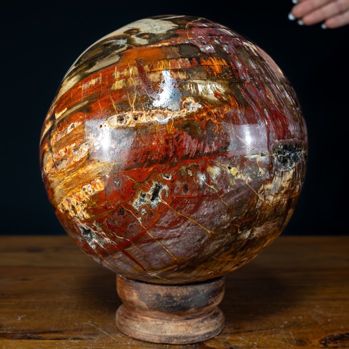 Color raro natural de la madera petrificada Esfera- 6933.78 g